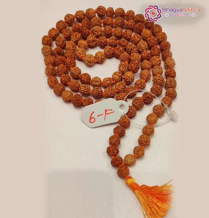6 Face Rudrakash Mala 108 Beads